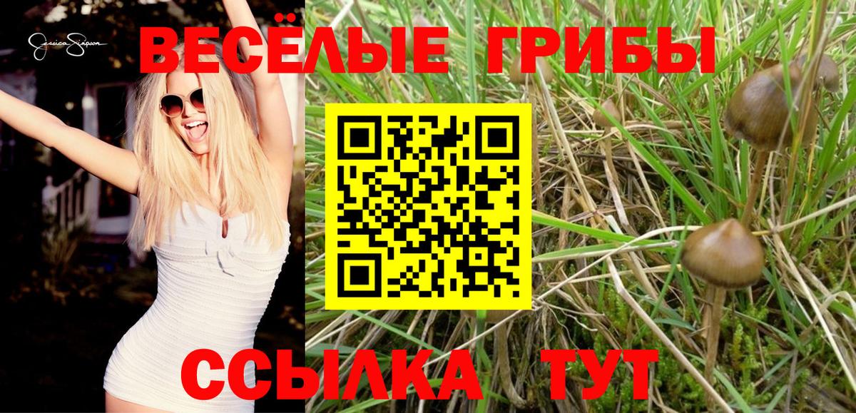 Псилоцибиновые грибы мухоморы Минусинск